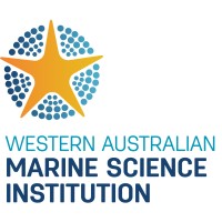 WAMSI logo